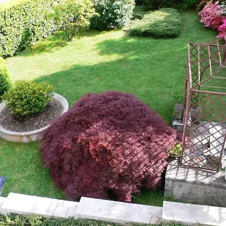 Ombrosa Primo Piano * Nebbiuno