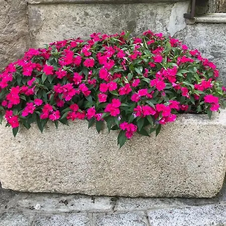 Ombrosa Primo Piano